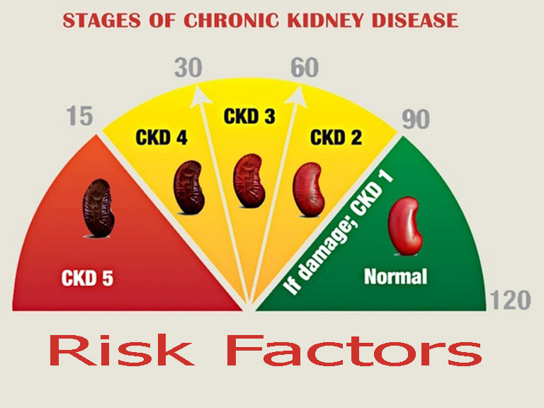 stages-and-risk-factors of ckd